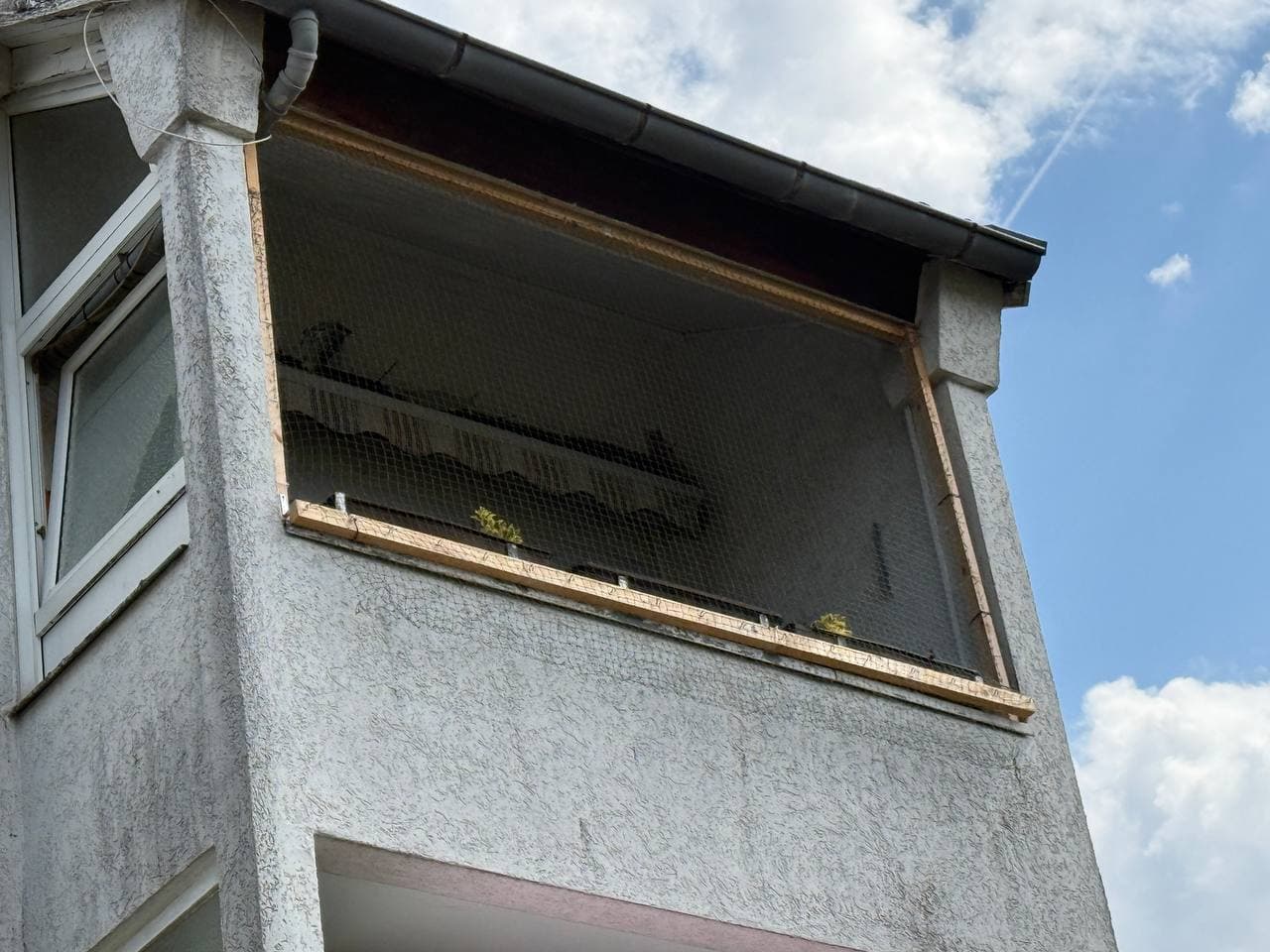 Taubenschutznetz in einem Holzrahmen vor einer Loggia, von außen gesehen